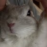  さん