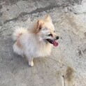 ふわふわ可愛い男の子