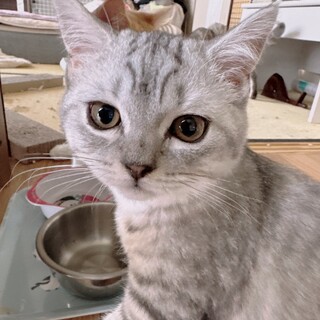活発な元気な男の子です。