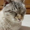 ごろまま22 さん