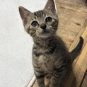 マイペースなだいすけくん♡