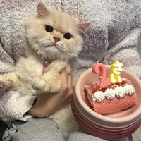 れお