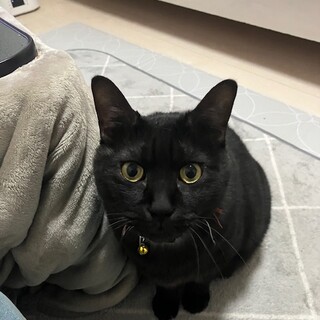 里親さま募集中です