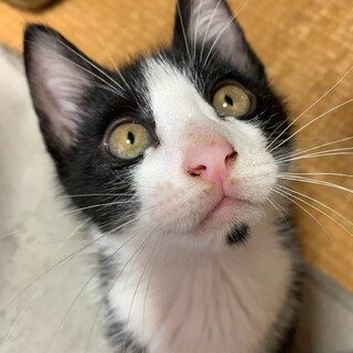 (仮)ほくくん 2ヶ月男の子
