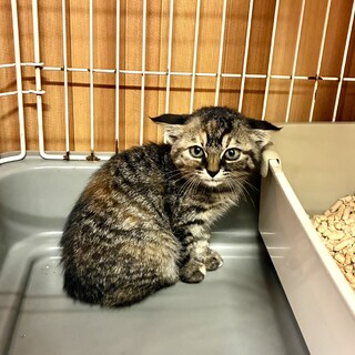 甘えん坊すぎる冬華ちゃん