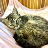 甘えん坊すぎる冬華ちゃん サムネイル2