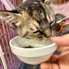 甘えん坊すぎる冬華ちゃん サムネイル4