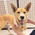 笑顔が素敵なイケワン！