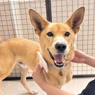 笑顔が素敵なイケワン！