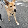 笑顔が素敵なイケワン！