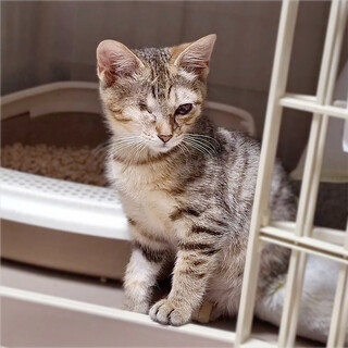 ハンディも個性❤️頑張り屋のめめこちゃん