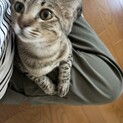 里親募集