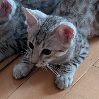 生後5カ月のゴロゴロ男の子！