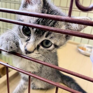 【うみ】君　超お喋りな男の子♪