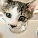 元気いっぱい甘えん坊スネ夫くん