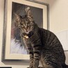 タコミンさん