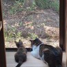 KとBさん
