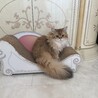 のんびりな環境で暮らしてます