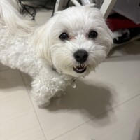 えむ