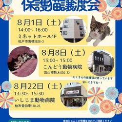 松戸市♡保護猫譲渡会♡NPO法人にゃん2