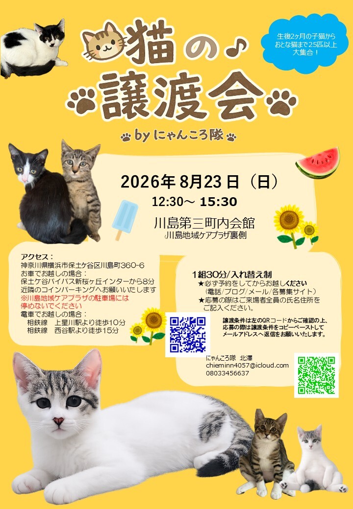 猫の譲渡会 by にゃん」（にゃんころ隊のイベント #29629
