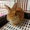 ８歳で捨てられた富士くん サムネイル2