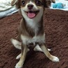 とても仲良しです。一緒にいさせてあげたいです。 サムネイル4