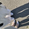 ヨコソミ