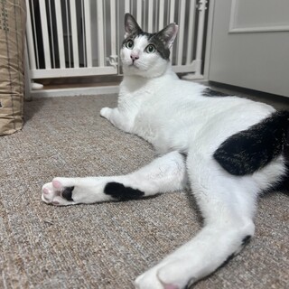 パンチゼロ宣言◎おおらかで優しい“the男の子”
