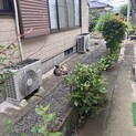 同じ子を重複してしまい、終了にしてます。