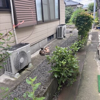 同じ子を重複してしまい、終了にしてます。