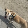 せな　女の子　一歩一歩乗り越えたよ サムネイル4