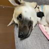 せな　女の子　一歩一歩乗り越えたよ サムネイル7