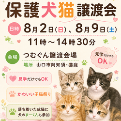 クローバーの会保護犬猫譲渡会