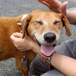 笑顔が眩しいガッツくん