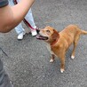笑顔が眩しいガッツくん サムネイル3