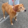 笑顔が眩しいガッツくん サムネイル4