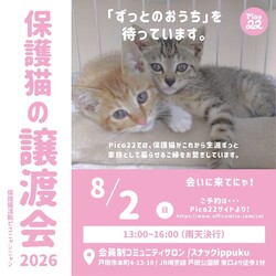 保護猫の譲渡会