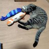 大人しくて甘えん坊な男の子★リョーマくん サムネイル3