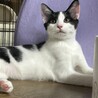 よく食べてよく遊ぶ元気いっぱい サムネイル2