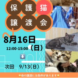 ねこのWa猫譲渡会
