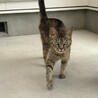ちゃぴたし さん