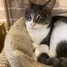 目に障害が残ってるけど見えてます‼︎ サムネイル7