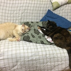 あぁ〜〜怖かったぁ〜〜