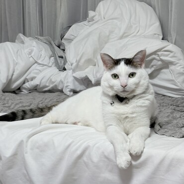 の写真