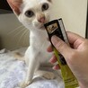 イケメン兄弟のリノとマナです！ サムネイル5