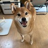 kota0205さん