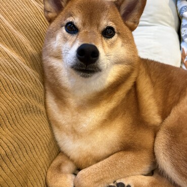 の写真