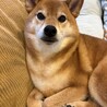 の写真