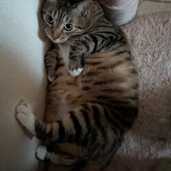 熊本地震、どうかご無事で